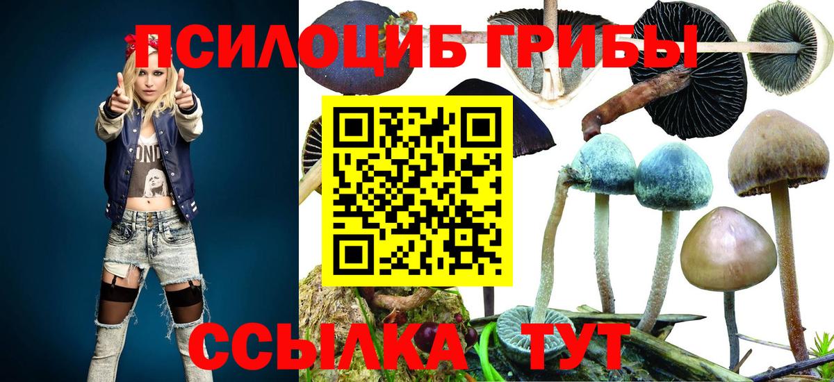 Галлюциногенные грибы прущие грибы Ирбит
