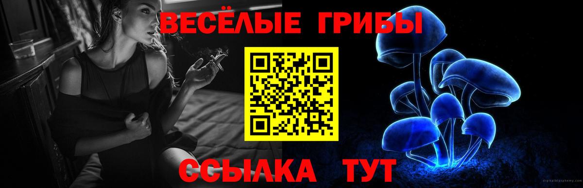 Ирбит  Галлюциногенные грибы Psilocybine cubensis  Вход с VPN 